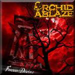 Orchid Ablaze : Forever Divine